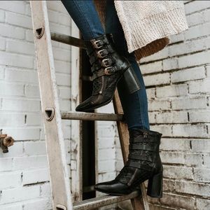 Freebird by Steven Julia